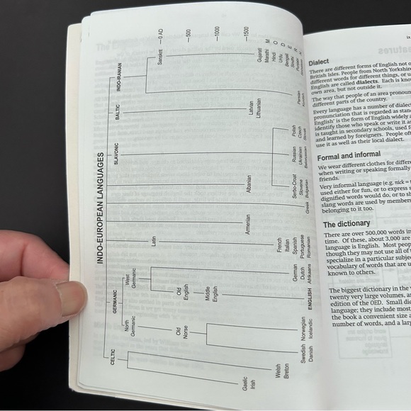 Oxford Pocket School Dictionary paperback 2002 edition - Picture 7 of 12